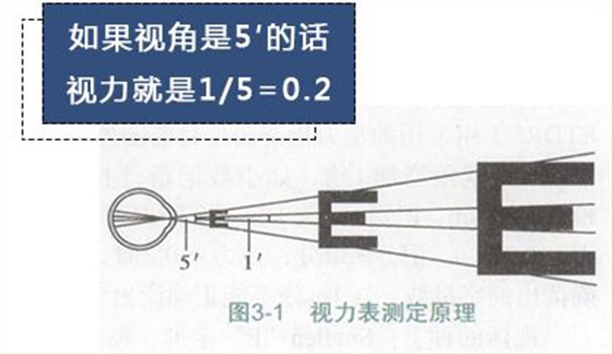 圖片8