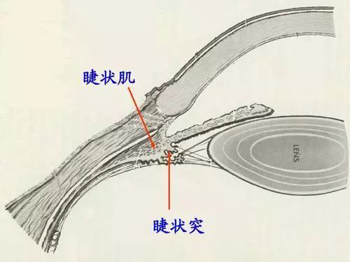 圖片6