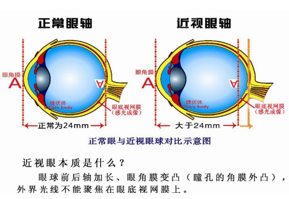 微信截圖_20200410131124