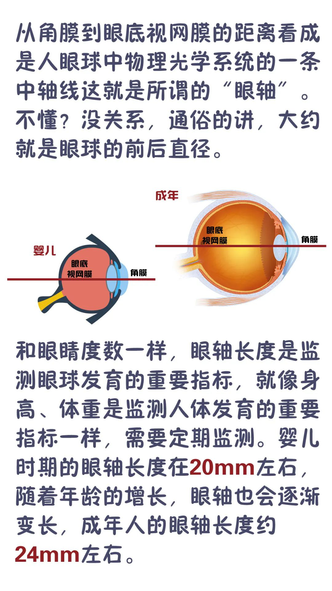 圖片 3